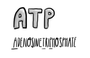3atp